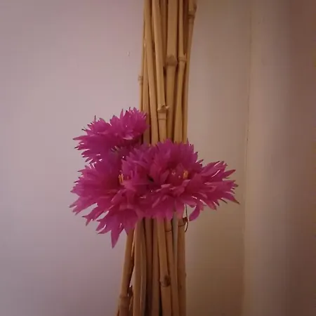 Mirador De Gratal - Sierra De Loarre بيت للعطل Bolea