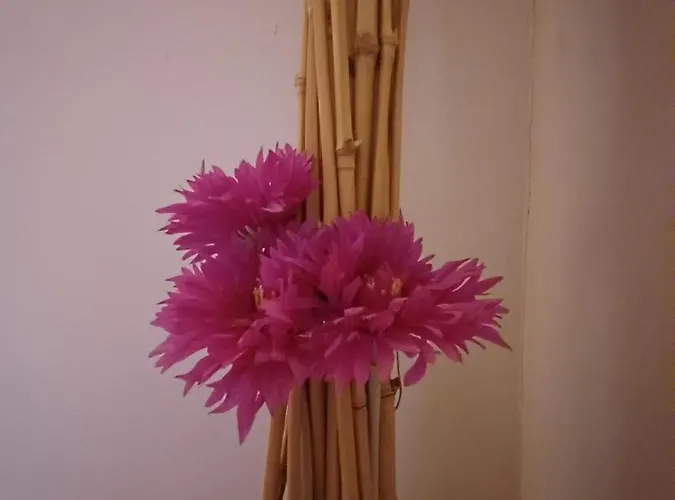 Mirador De Gratal - Sierra De Loarre Vakantiehuis Bolea